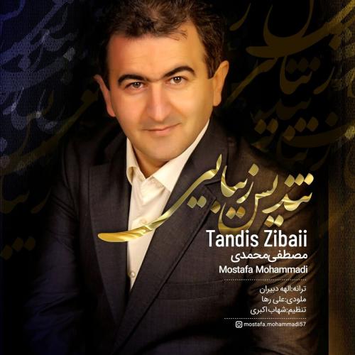 دانلود آهنگ تندیس زیبایی